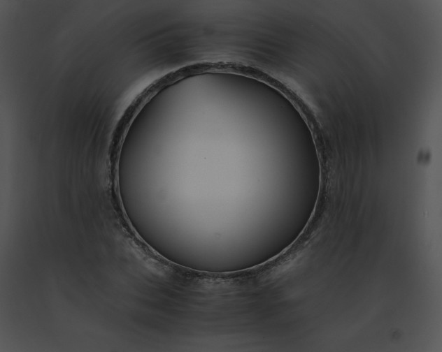 X0000091540927200708311328