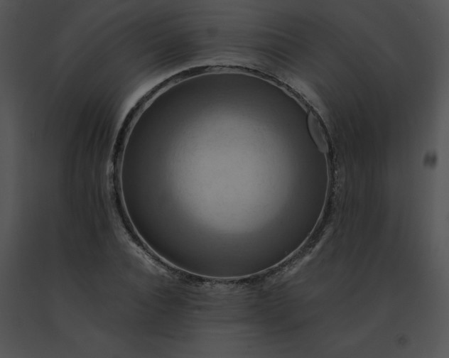 X0000091540928200708311328