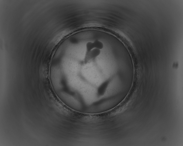 X0000091540929200708311328