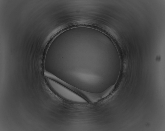 X0000091540930200708311329