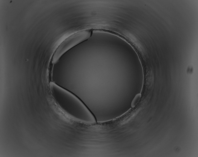 X0000091540932200708311329