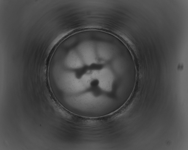 X0000091540933200708311329