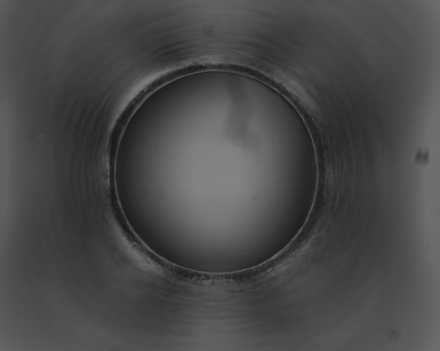 X0000091540934200708311329