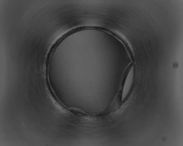 X0000091540935200708311329