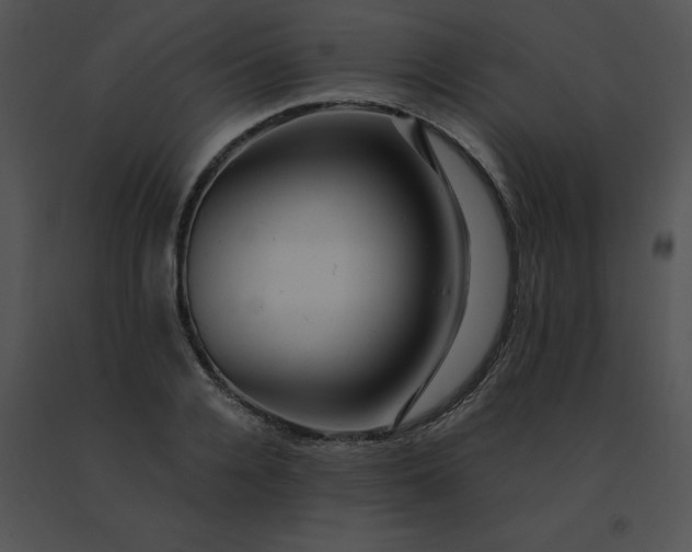 X0000091540936200708311329