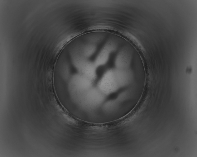 X0000091540937200708311329