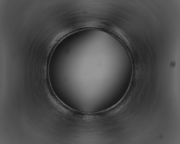 X0000091540938200708311329