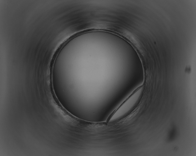 X0000091540939200708311329