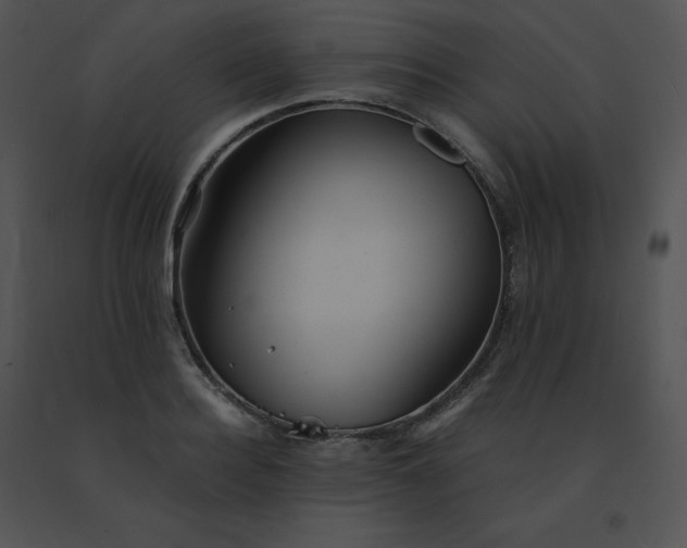 X0000091540940200708311329