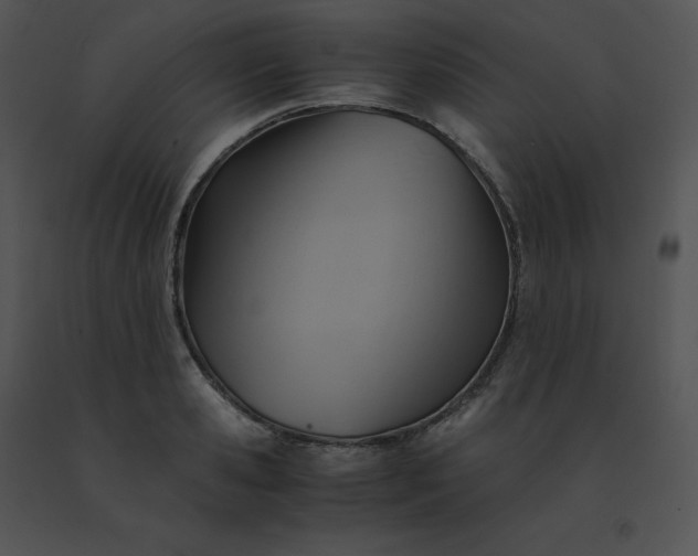 X0000091540941200708311329