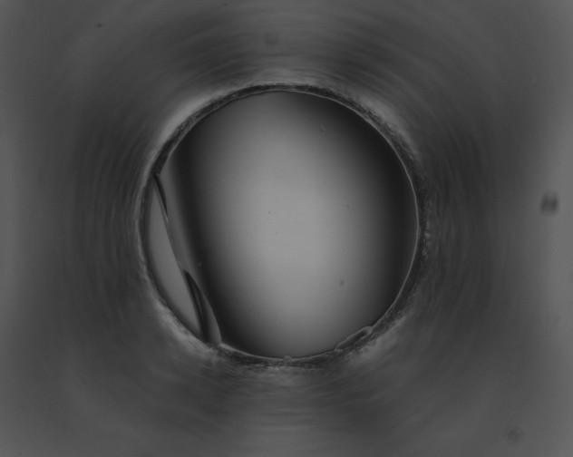 X0000091540942200708311329