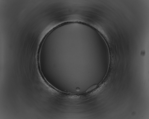 X0000091540943200708311329