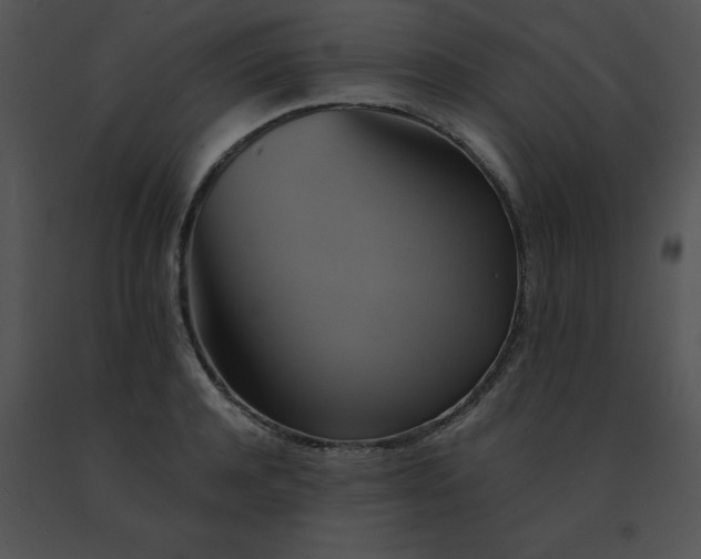 X0000091540944200708311329