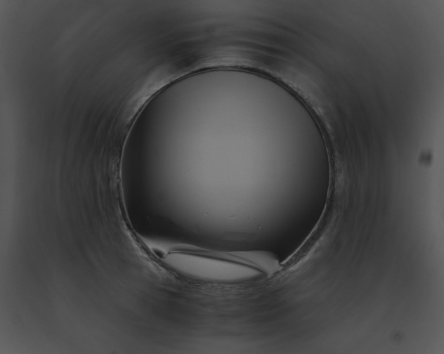X0000091540945200708311329