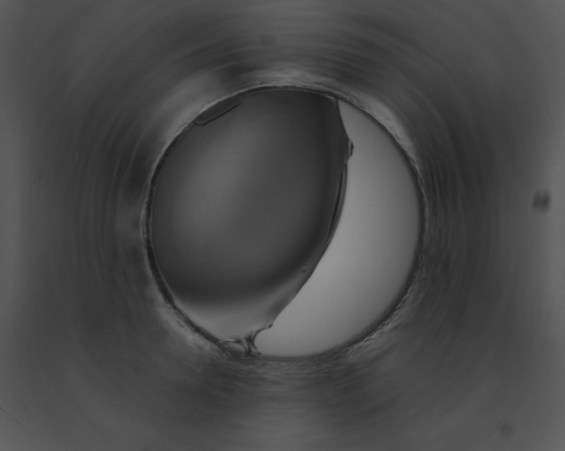X0000091540946200708311329