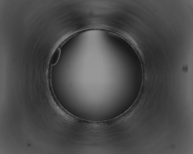 X0000091540947200708311329