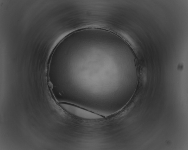 X0000091540948200708311329