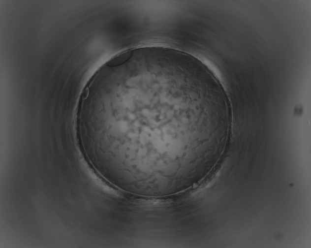 X0000091540949200708311329