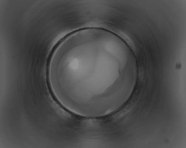 X0000091540950200708311329