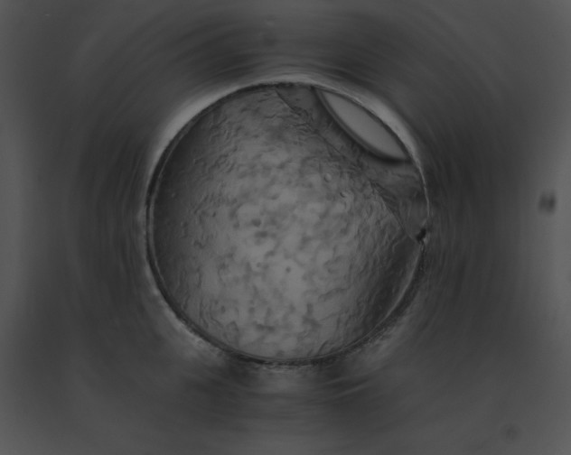 X0000091540951200708311329