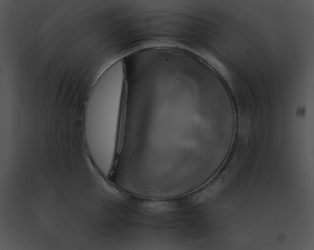 X0000091540953200708311329