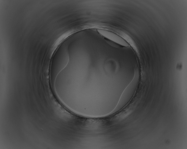 X0000091540954200708311329