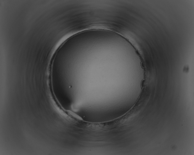 X0000091540955200708311329