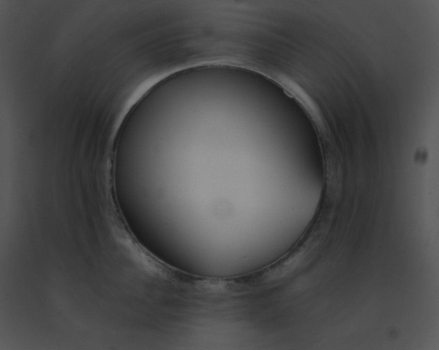 X0000091540956200708311329