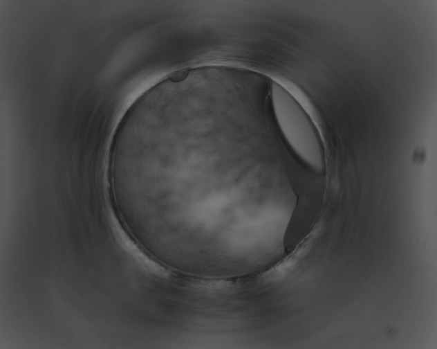 X0000091540957200708311329