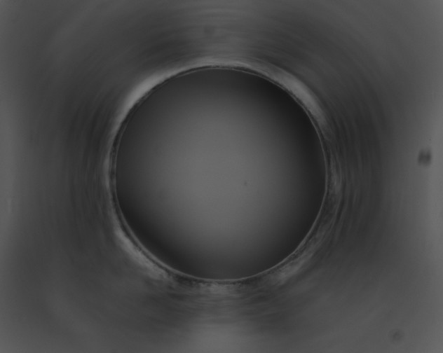 X0000091540958200708311329