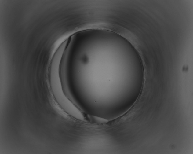 X0000091540960200708311329