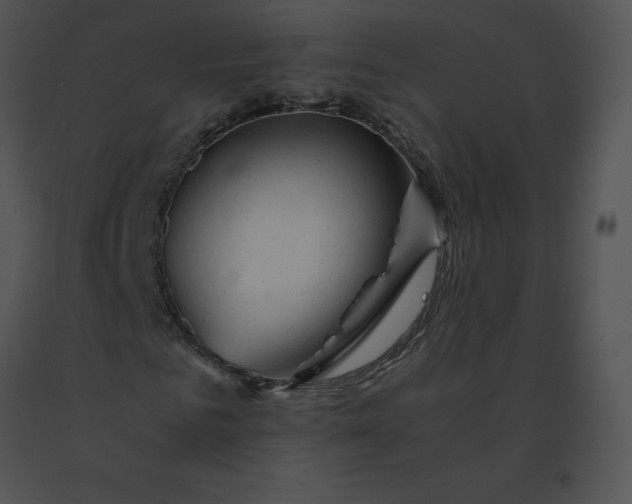 X0000091540961200708311328