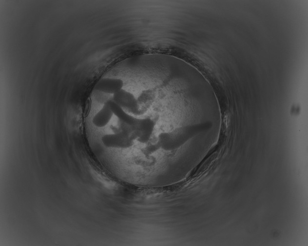 X0000091540963200708311328