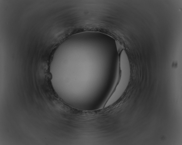 X0000091540964200708311328