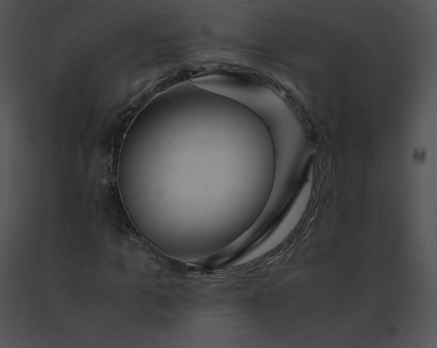 X0000091540965200708311328