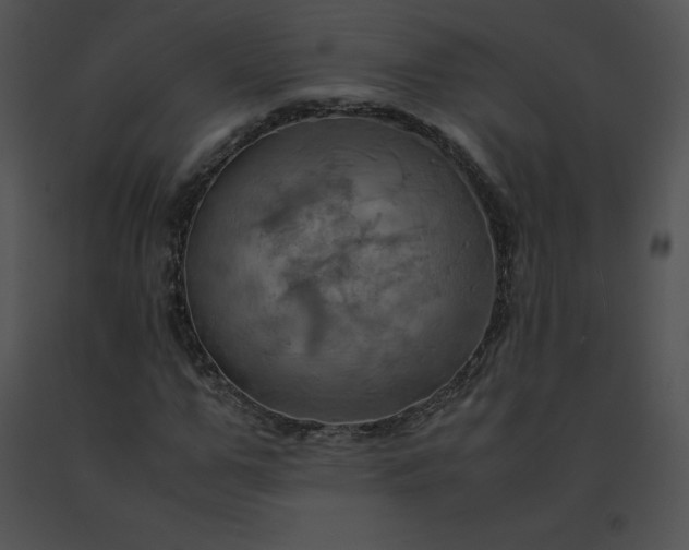 X0000091540967200708311328