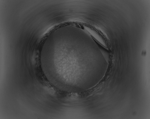 X0000091540968200708311328
