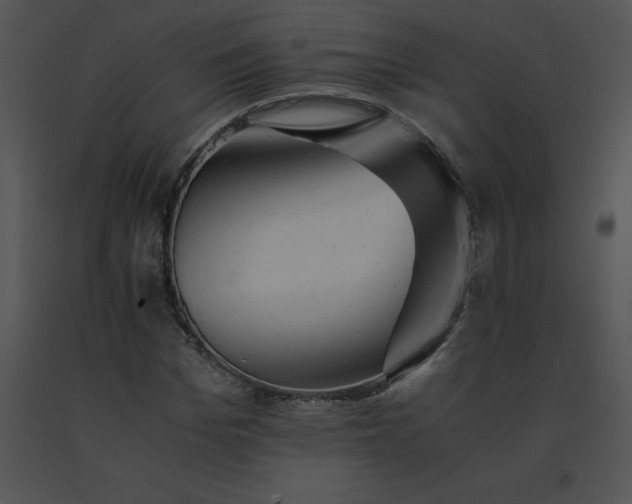 X0000091540969200708311328