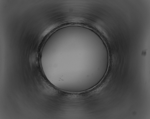 X0000091540970200708311328