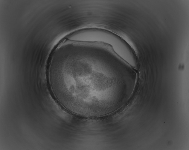 X0000091540972200708311328