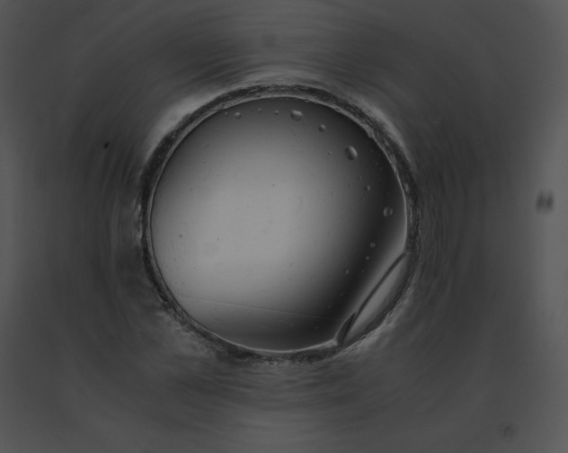 X0000091540973200708311328