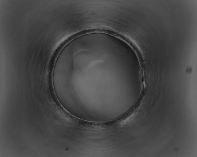 X0000091540975200708311328