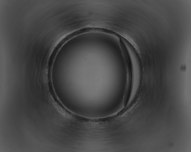 X0000091540976200708311328