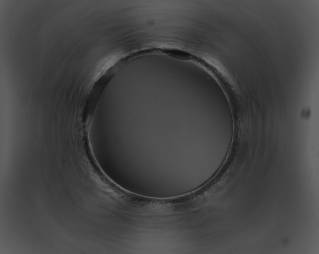 X0000091540977200708311328