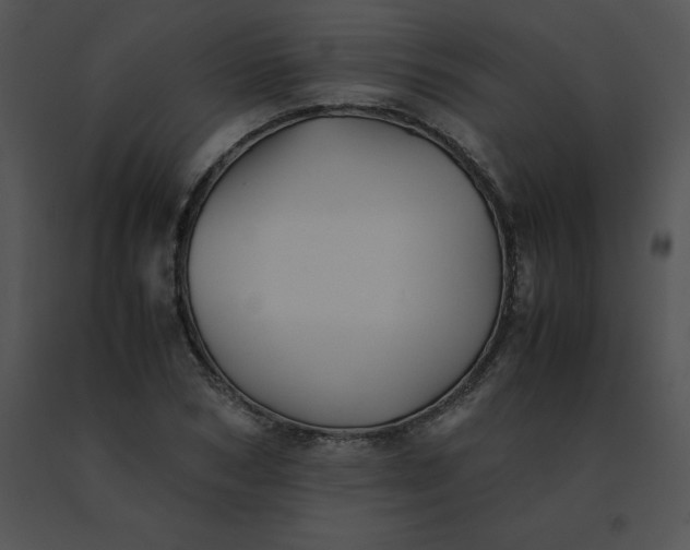 X0000091540978200708311328