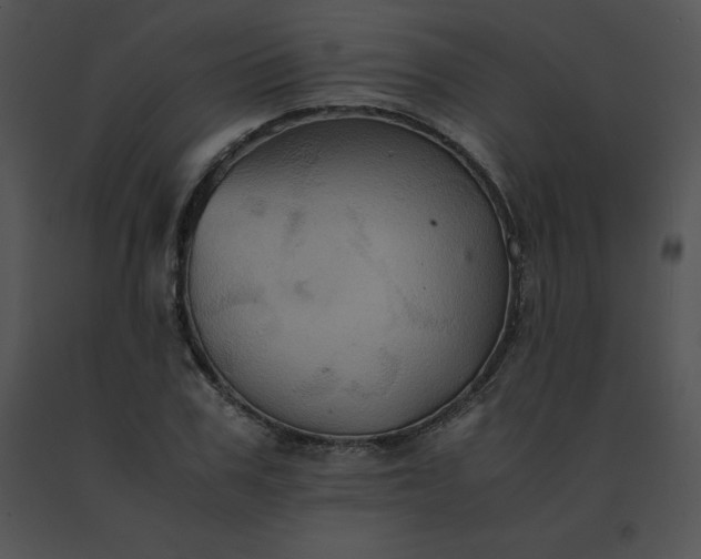 X0000091540979200708311328