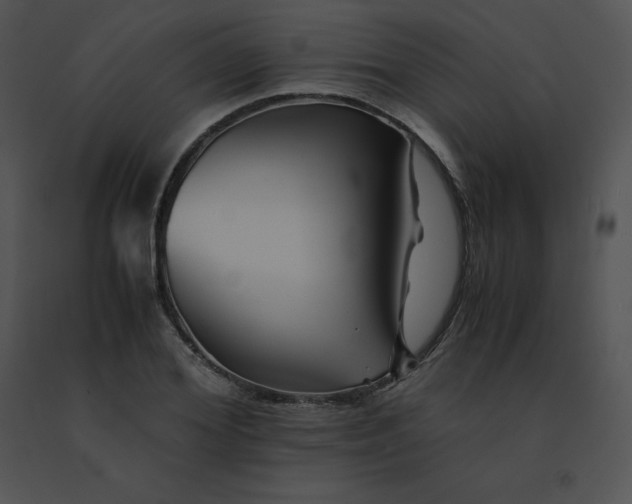 X0000091540980200708311328