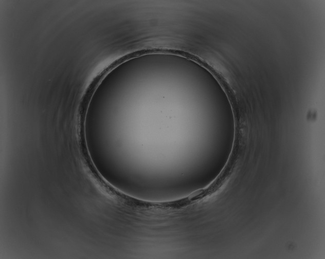 X0000091540981200708311328