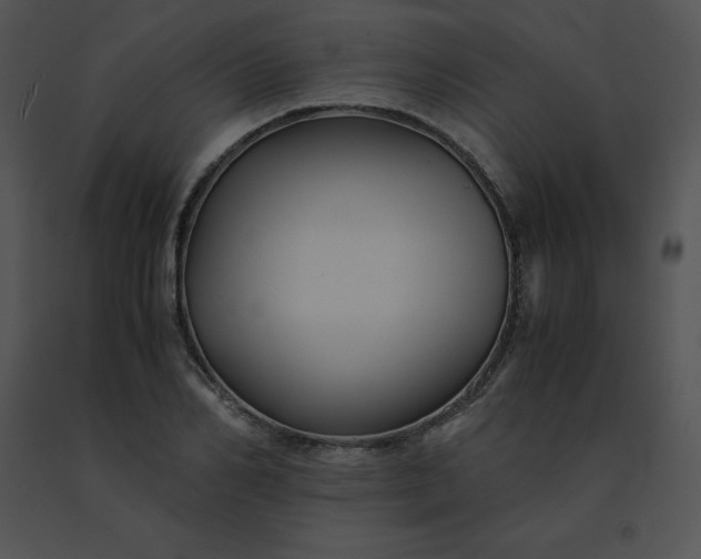X0000091540982200708311328