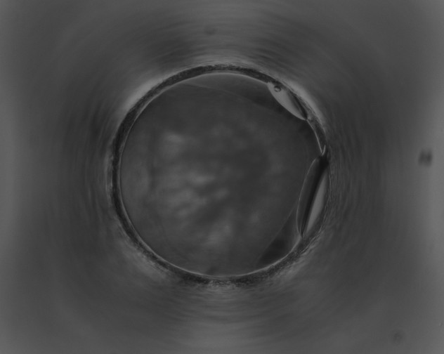 X0000091540983200708311328
